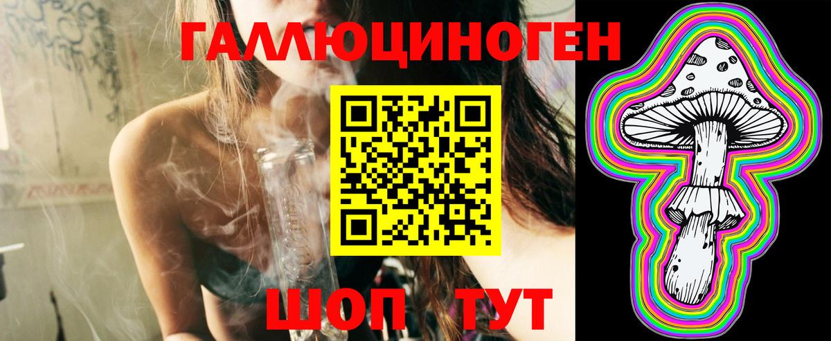 Галлюциногенные грибы Psilocybe Усть-Илимск